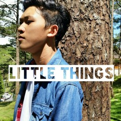 Little Things - One Diretion (Cover)