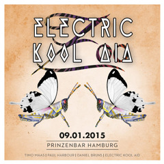 Electric Kool Aid DJ-Set @ Zoo (w.Timo Maas) / Prinzenbar-HH - 2015-01-09 (FREE DOWNLOAD)