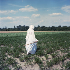 SELA. - it's always later