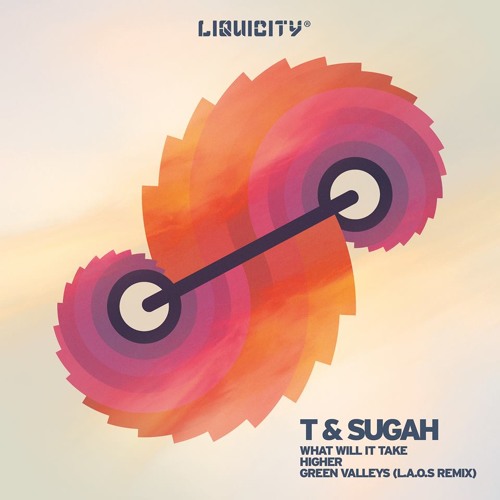 T and Sugah - What Will It Take [Liquicity Records]