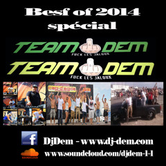 Best Of 2014 Spécial Team Dem