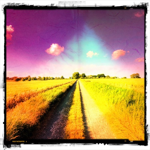 Another Day Is Gone - Free Download