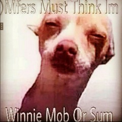 Lyrik Gucci Louis Prada Freestlye