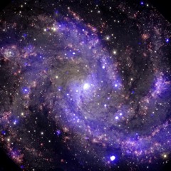 [Majestic Dopeness] - MCN