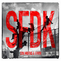16 El Viaje (Colabora Kriss) BONUS TRACK [SFDK Sin Miedo A Vivir]