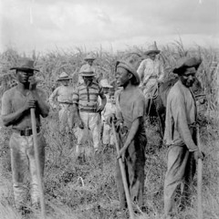 Love in Vain (Robert Johnson)