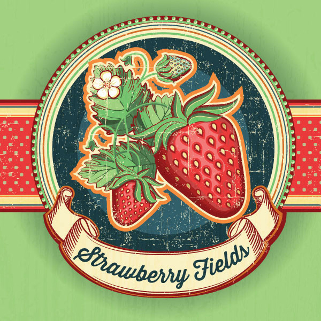 Stream POHALINO - STRAWBERRY FIELDS VOL20 by POHALINO