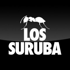 Los Suruba - ANTS Live Streaming @ Blue Parrot - The BPM Festival 10/01/2015