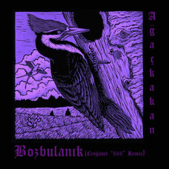 Ağaçkakan - Bozbulanık (Cengâver ''666'' Remix)