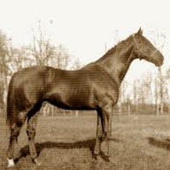 Swynford Mix
