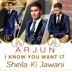 I Know You Want It / Sheila Ki Jawani (Arjun)
