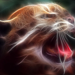 Just- Ice Calling All Plano Wildcats