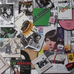 CAT STEVENS - If you want to sing out, sing out (alternate version)