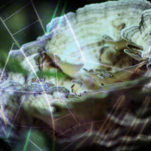 astral projection
