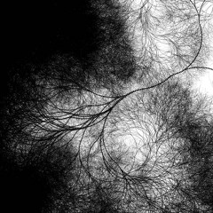 From The Bottom Of My Mind