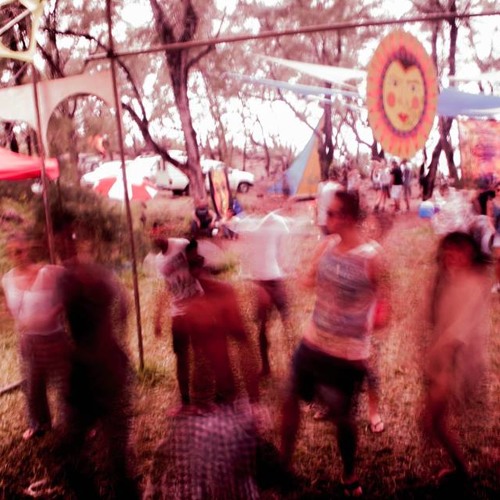 Bloom & Colourful 2015