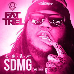 Touch Her Soul by Fat Trel