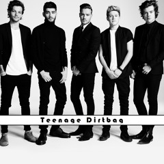 One Direction - Teenage Dirtbag  [High quality](This Is Us)