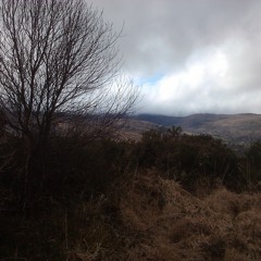 This Is How I Wish That I Could Talk To You