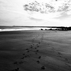 As My Feet Step