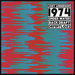 DKMNTL023 // Joey Anderson - 1974