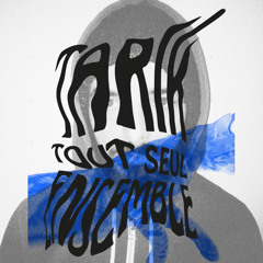 Tarik - Tout Seul Ensemble