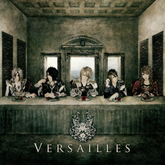 Versailles - Truth (Guitar Cover)