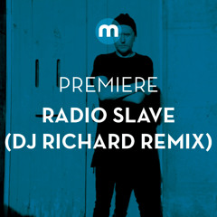 Premiere: Radio Slave 'Werk' (DJ Richard Remix)