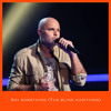 The Blind Auditions, The Voice of Holland 2014 Vincent Vilouca - Say Something (A Great Big Word)