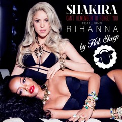 Can't Remember To Forget You_Shakira Ft. Rihanna (Cover by Hot Sheep)