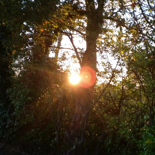 I'll Be Around at In The Surrey Hills