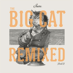 Coyu - Balls (Jay Lumen "Dusty Fat Bass" Remix)