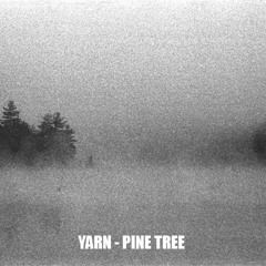 YARN - Pine Tree (Acoustic Version) 1992 Premiere Previously Unreleased Song