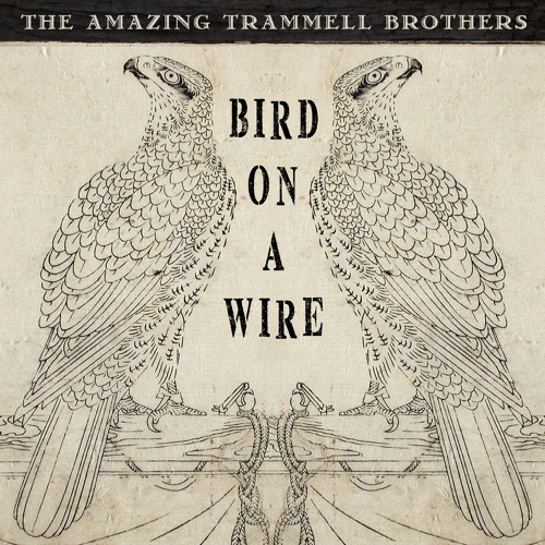 Stream Bird On A Wire (Original Song by Leonard Cohen) by  AmazingTrammellBrothers | Listen online for free on SoundCloud