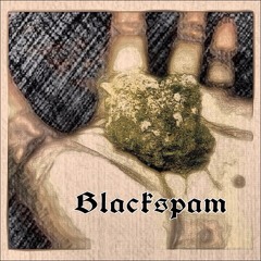 We ont' fux with ya'll ft. Blackspam