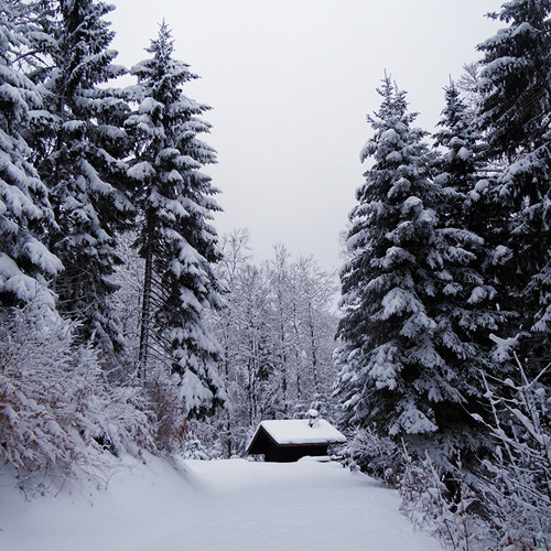 Winter depression Pt 2