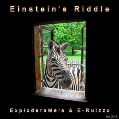 Einsteins's Riddle (with ExploderaMera)