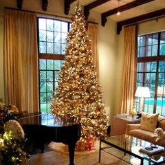 O Holy Night, Divine
