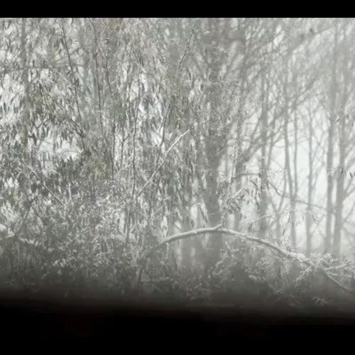 Nightfall - Pascal Savy (Eilean Rec.)