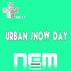 The Wednesday Wave #11 - Urban Snow Day