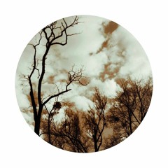 The Wonderful Play of Forms and Colors