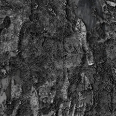 Improvisational Acoustic Jam (1/12/2015) - [Featuring Mike Leavitt ]