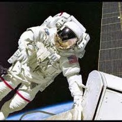 The ole Red Bearded Bear Dog Wolf Cat Man