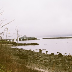 The Nearness of You (w/Miles Laven and Bob Bruya)