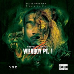 WildBoy(Prod By. Grade - A)