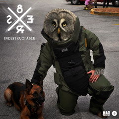 Indestructable [Preview] (Out Now On Mad Decent Premium)