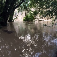 spiral70a (free download!  mastered by sean price @ mlc)