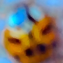 Pack Your Bags It's Time To Go