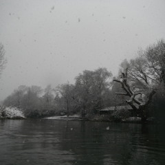 Snowdrift