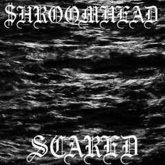 $HROOMHEAD - SCARED (PROD. CANE SUGAR)